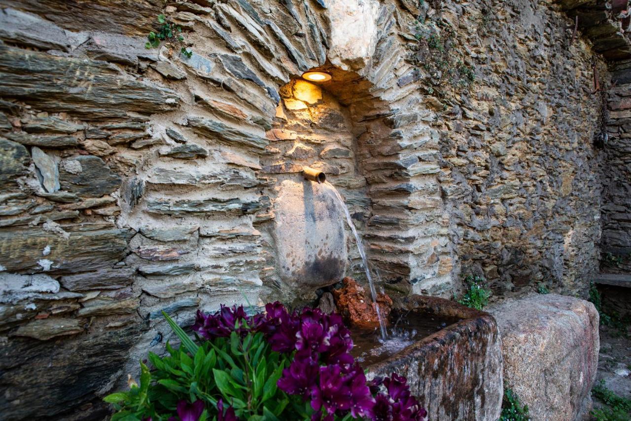 Apartamentos Rurales Cielo De Monfraguee มัลปาร์ติดา เดอ ปลาเซนเซีย ภายนอก รูปภาพ